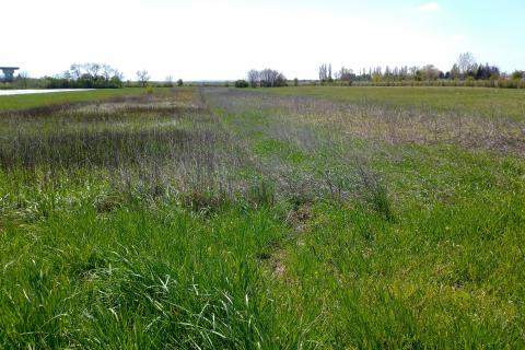 Velika Gorica, zemljište 3363m2