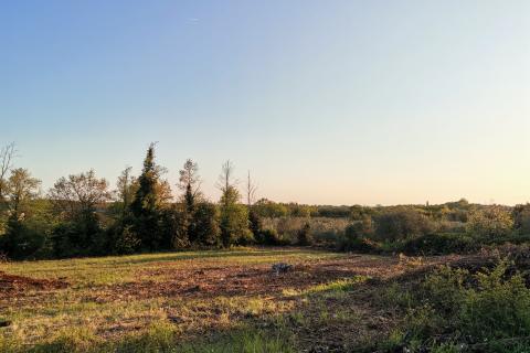 Terreno edificabile Brtonigla, 3.618m2