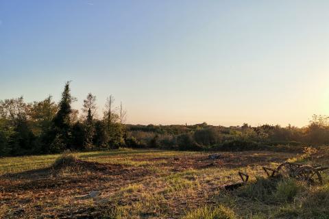 Terreno edificabile Brtonigla, 3.618m2