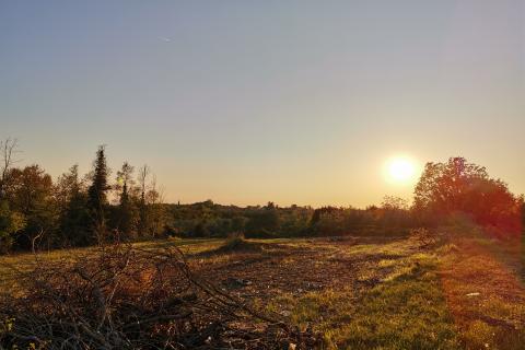 Terreno edificabile Brtonigla, 3.618m2