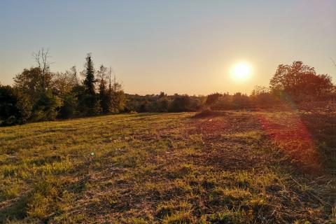 Terreno edificabile Brtonigla, 3.618m2