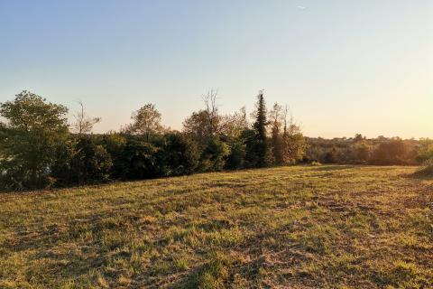 Terreno edificabile Brtonigla, 3.618m2
