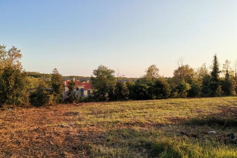 Terreno edificabile Brtonigla, 3.618m2