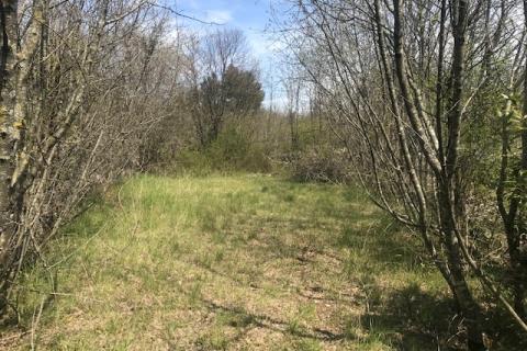 Non-structural plot Garica, Vrbnik, 3.172m2