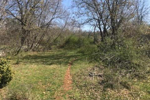 Non-structural plot Garica, Vrbnik, 11.898m2