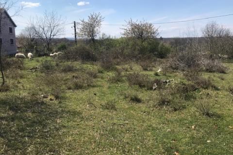 Non-structural plot Garica, Vrbnik, 11.898m2