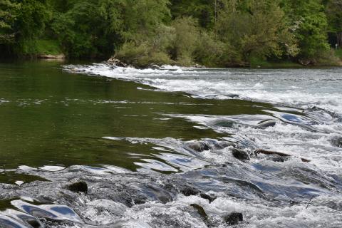 Rim, Vrbovsko, 686m2