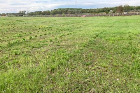 Non-structural plot Mugeba, Poreč, 30.442m2