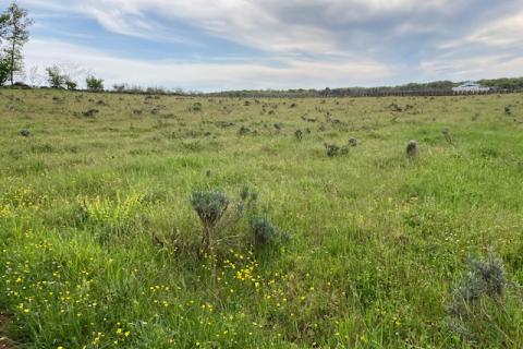 Non-structural plot Mugeba, Poreč, 30.442m2