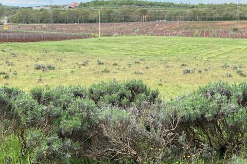 Non-structural plot Mugeba, Poreč, 30.442m2