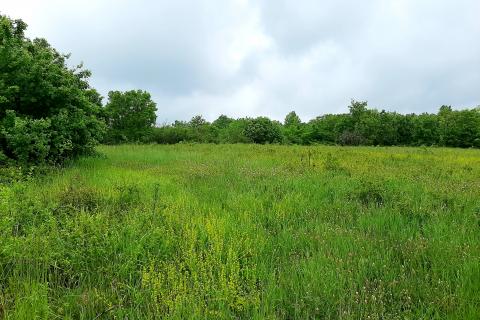 Istra, građevinsko zemljište u okolici Brtonigle