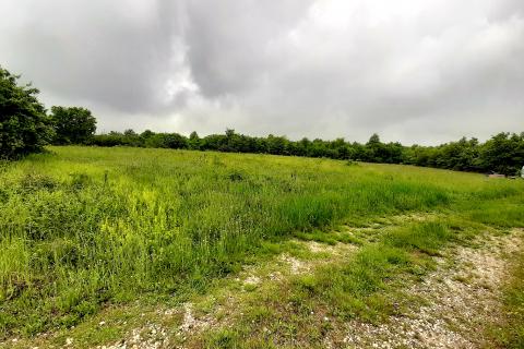 Istra, građevinsko zemljište u okolici Brtonigle