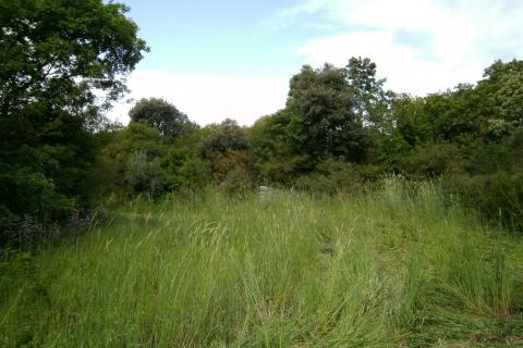 Земельный участок нестроительного назначения Fažana, 4.340m2