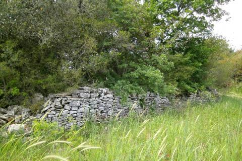 Земельный участок нестроительного назначения Fažana, 4.340m2