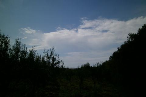 Земельный участок нестроительного назначения Fažana, 4.340m2