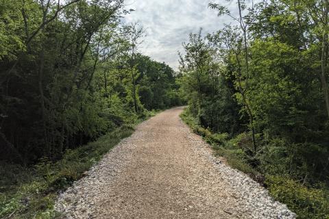 Istra, Rovinjsko Selo - šuma 8220 m2 na rubu urbanizacije