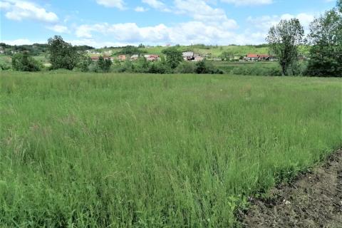 Ozalj; Trška - građevinsko zemljište 9227 m2 uz rijeku Kupu idealno za seoski turizam