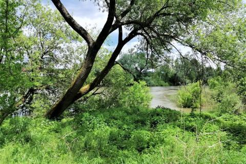 Ozalj; Trška - građevinsko zemljište 9227 m2 uz rijeku Kupu idealno za seoski turizam