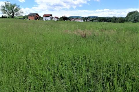 Ozalj; Trška - građevinsko zemljište 9227 m2 uz rijeku Kupu idealno za seoski turizam