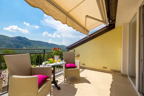 Novi Vinodolski, Tribalj, Najam Ville s wellnessom i bazanom