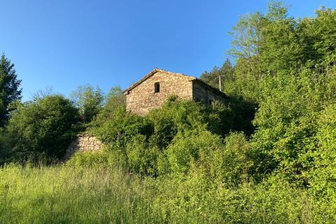 Istra, Belaj, staro istrsko posestvo s hišo za obnovo in vrtom 5542 m2