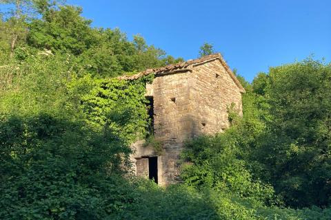 Istra, Belaj, staro istrsko posestvo s hišo za obnovo in vrtom 5542 m2