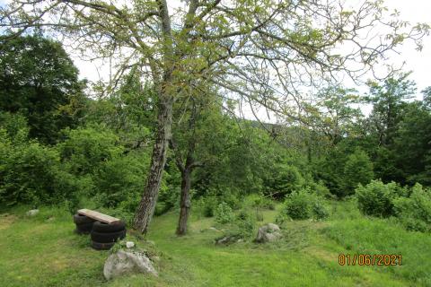 House Veprinac, Opatija - Okolica, 406m2