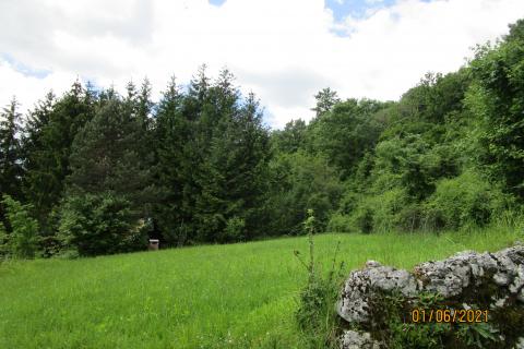 House Veprinac, Opatija - Okolica, 406m2