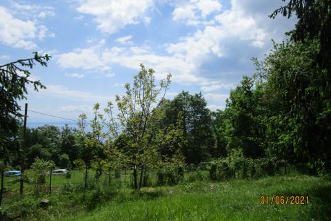 House Veprinac, Opatija - Okolica, 406m2