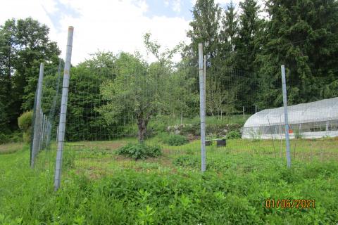 House Veprinac, Opatija - Okolica, 406m2