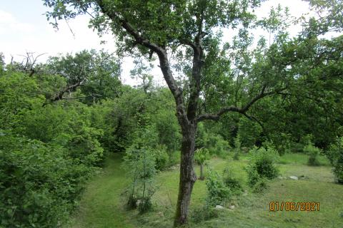 House Veprinac, Opatija - Okolica, 406m2