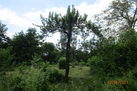 House Veprinac, Opatija - Okolica, 406m2