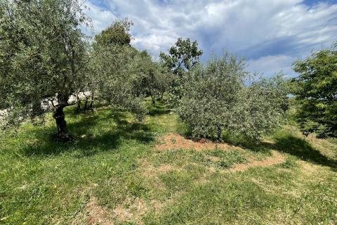 Mošćenice, Dvije Negrađevinske parcele 1600m2