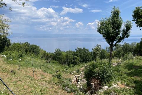 Mošćenice, Dvije Negrađevinske parcele 1600m2