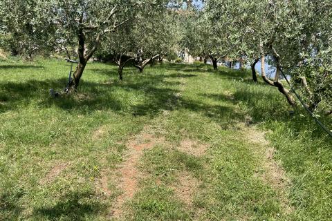 Mošćenice, Dvije Negrađevinske parcele 1600m2