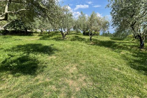 Mošćenice, Dvije Negrađevinske parcele 1600m2