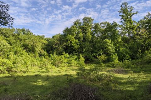 Non-structural plot Rovinjsko Selo, Rovinj, 16.836m2