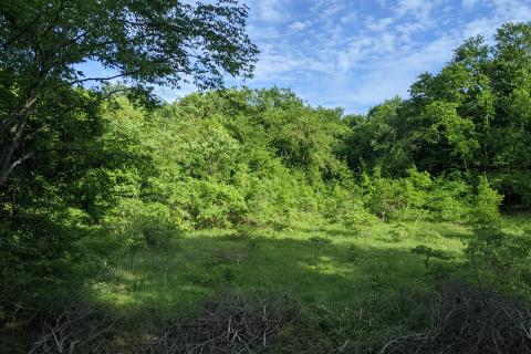 Non-structural plot Rovinjsko Selo, Rovinj, 16.836m2