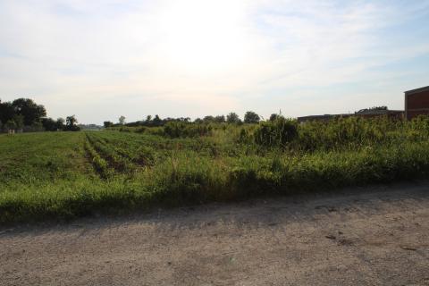 Building plot Gradići, Velika Gorica - Okolica, 5.755m2