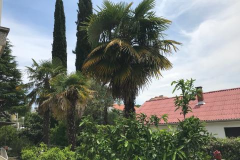 Huis Malinska, Malinska-Dubašnica, 300m2