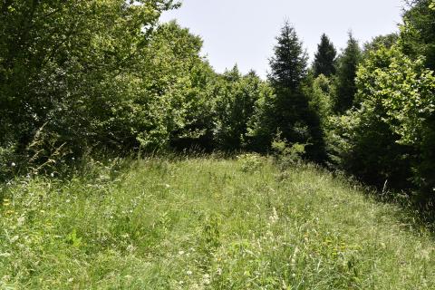 Vučinići, Vrbovsko, 17,59m2