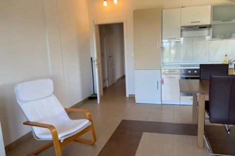 Stranići kod Nove Vasi, Poreč, 478m2