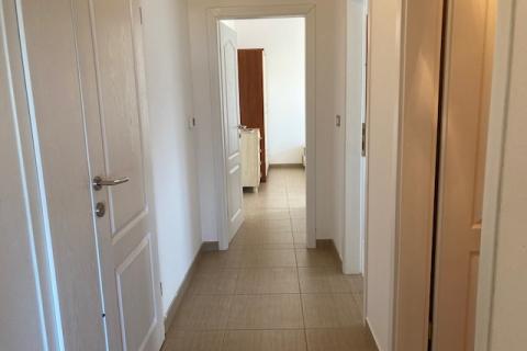 Stranići kod Nove Vasi, Poreč, 478m2