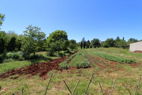 Земельный участок строительного назначения Kaštelir, Kaštelir-Labinci, 1.550m2