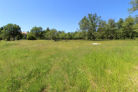 Земельный участок строительного назначения Kaštelir, Kaštelir-Labinci, 1.550m2