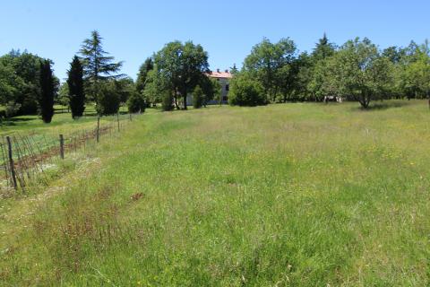 Земельный участок строительного назначения Kaštelir, Kaštelir-Labinci, 1.550m2