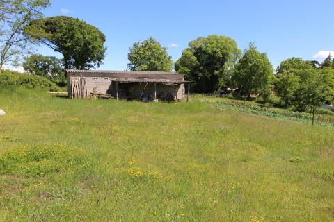 Земельный участок строительного назначения Kaštelir, Kaštelir-Labinci, 1.550m2