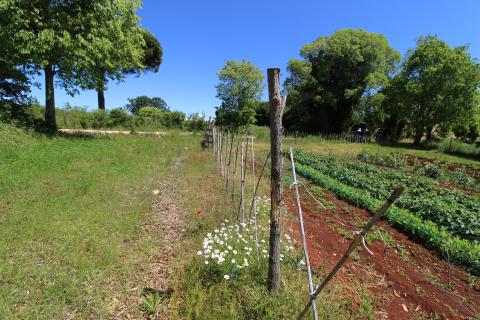 Земельный участок строительного назначения Kaštelir, Kaštelir-Labinci, 1.550m2