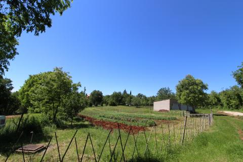 Земельный участок строительного назначения Kaštelir, Kaštelir-Labinci, 1.550m2