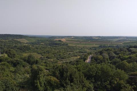 ISTRA,Buje,stan u centru za adaptaciju